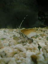 ��07-08-14_19-40~01