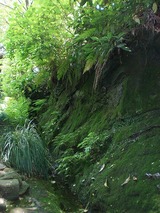 ������������������