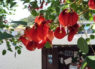 IMG_20240614_132603_20240623162900