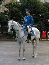 72be8781e7bed96bb10e5634b930d3a3