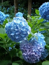 ���ҥ��ѡ��� 1014