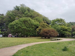 IMG_20250424_134748_20250506203325