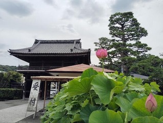 IMG_20240630_094742_20240630135016