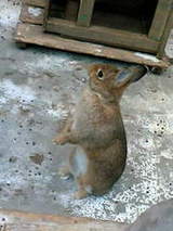 697fecd13173587893eebf4a0c45fdef