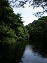 ���ҥ��ѡ��� 999