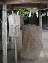 s-���ҥ��ѡ��� 963