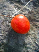 e7c4d08cc345b3f101850c2dc12b0658