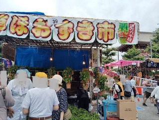 IMG_20240709_102440_20240709114756