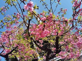 IMG_20250302_114901_20250302155948