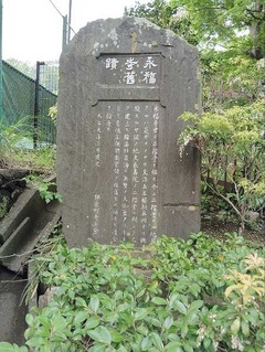 IMG_20250424_134930_20250506203321