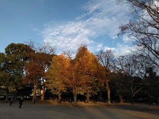 s-d6739a43ff80513e209bfd7fbe492fec