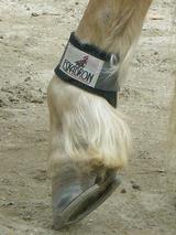 ���Ϥ���mini