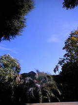 de552aa1baba38143467be623f63d2c1