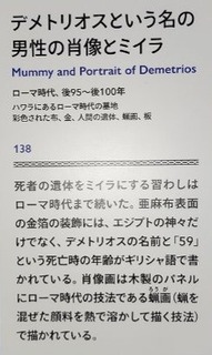 IMG_20250403_133422_20250403215530