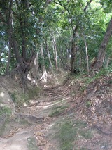 ������ 632