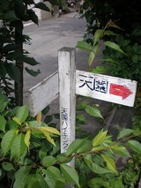 ��ŷ�ॹ������