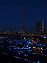 s-★P1550252
