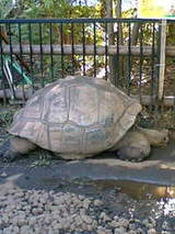 7b8d9c8edfa8d6cd4ee88ffb9ae027c9