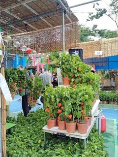 IMG_20240709_102515_20240709114753