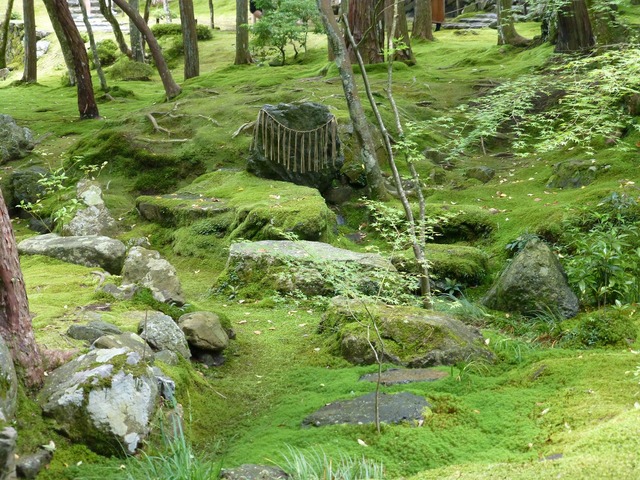 s-���������P1060424