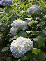 ���ҥ��ѡ��� 692