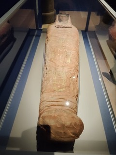 IMG_20250403_133448_20250403215531