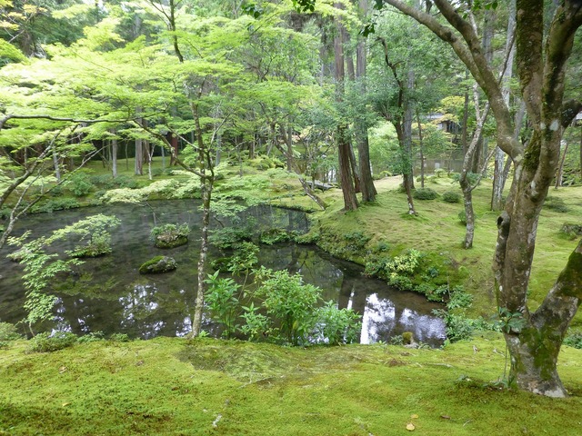 s-��Ʊ��P1060367