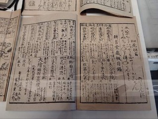 IMG_20250118_153056_20250203113821