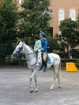 bdbfb795ffcc411e9b754db5efe8d7fc