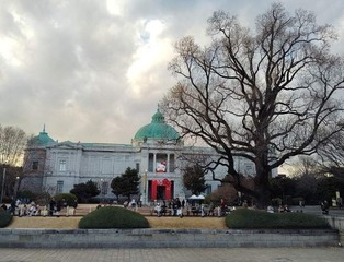 IMG_20250128_162452_20250202113044