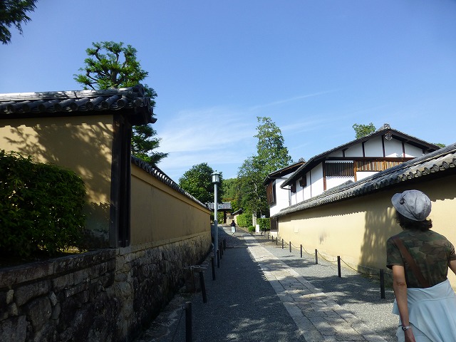 uno様専用 大徳寺大仙院 尾関宗園筆 一行書 心静楽長年 桐箱 C 4648A