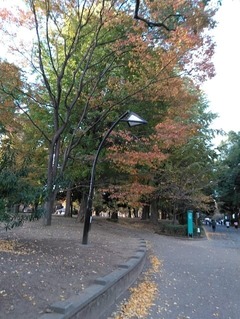 s-0b9c96c78b062909ce524b7f1f2cd9a6