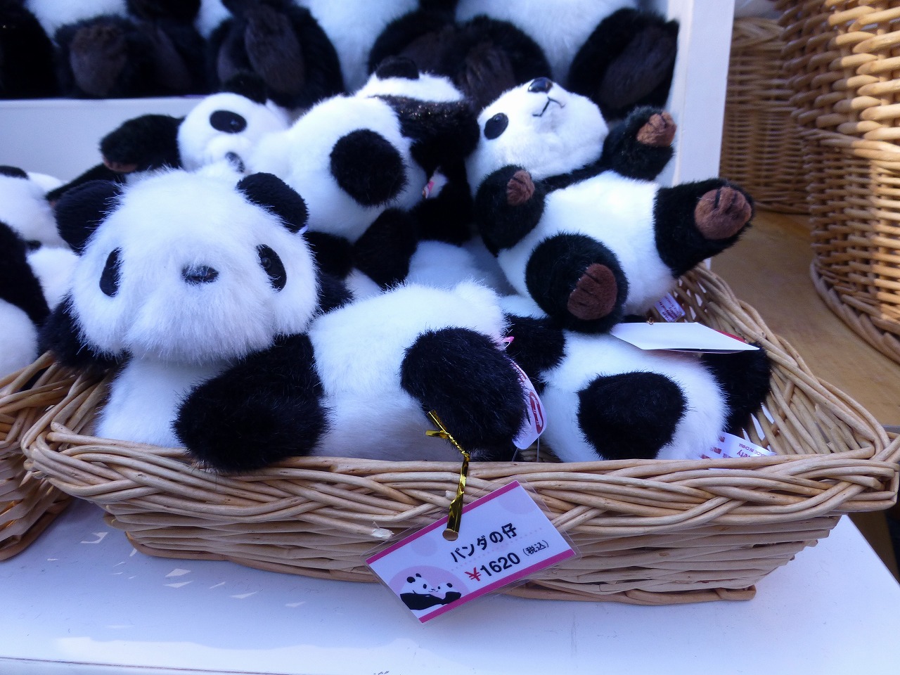 上野動物園に ぬいぐるみを買いに行く 1 Mamataroおでかけ日記