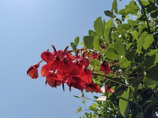 s-IMG_20240614_132632_20240623162852