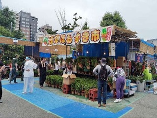 IMG_20240709_103636_20240709114733