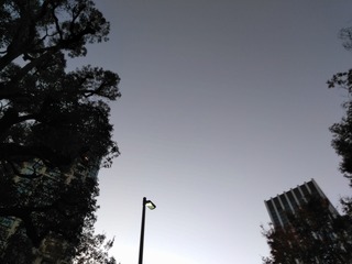 s-IMG_20191129_161813