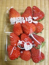 250�ߤ�����