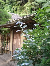 ���ҥ��ѡ��� 1046