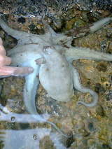 ��07-08-15_14-12