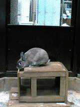 dce88ec1373774e2d06d930c9b915ea8