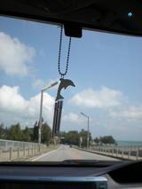 �������㥤��