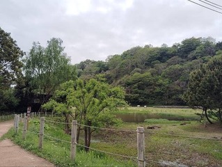 IMG_20250424_132156_20250506203311