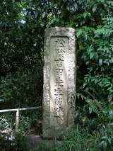 ���ľ�������α����