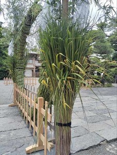 IMG_20240630_102313_20240630134813 (1)