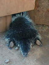 1b528054491dc0b875a3e1252693e5ec