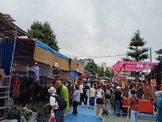 IMG_20240709_102450_20240709114754