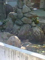 b92f6cff9e43885d5f197c85d3465f5d