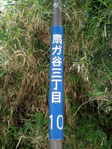 ���ҥ��ѡ��� 778