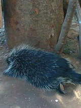 4dace1bc57365f4d5f11d424593cfb69