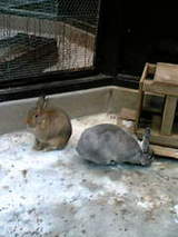 25dfb050716040377ac28cefca39d85d